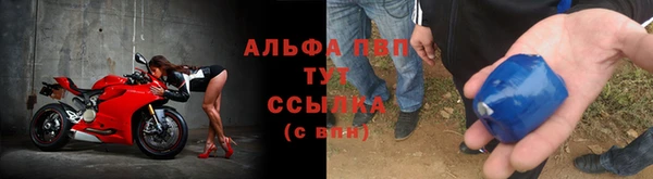 кокс Бородино
