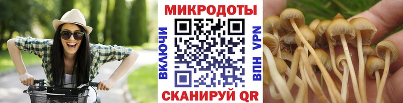 MEGA ТОР  darknet клад  Псилоцибиновые грибы Psilocybine cubensis  Горняк 